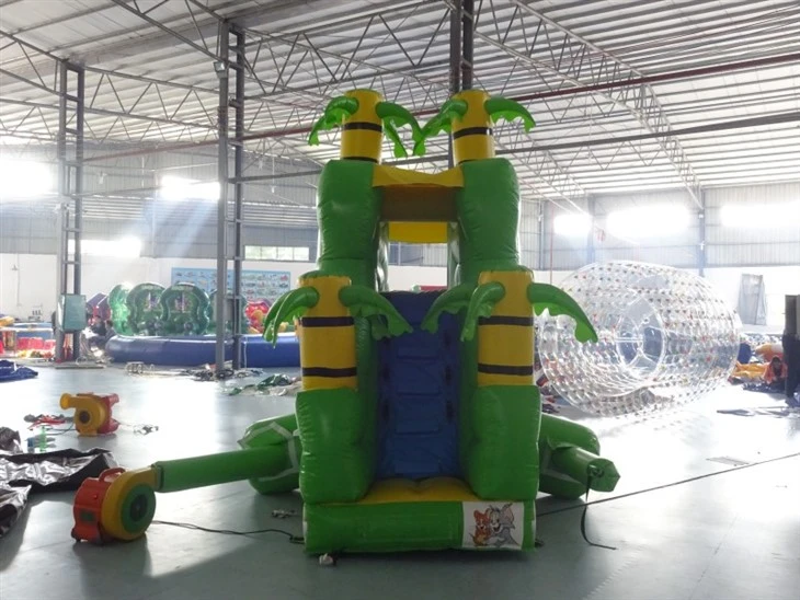 Commercial Rental Backyard Water Slide For Kids factory