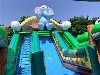 Panda Jungle Inflatable Playground